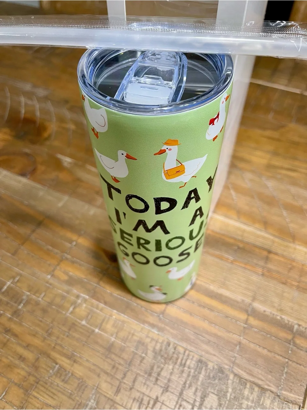 Today I'm A Serious Goose - 20oz Tumbler